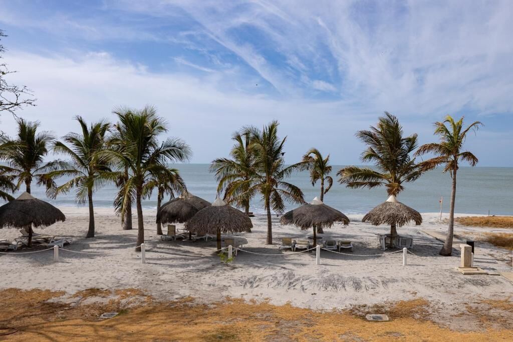 Una playa con sombrillas de paja y palmeras, arena y el océano al fondo.