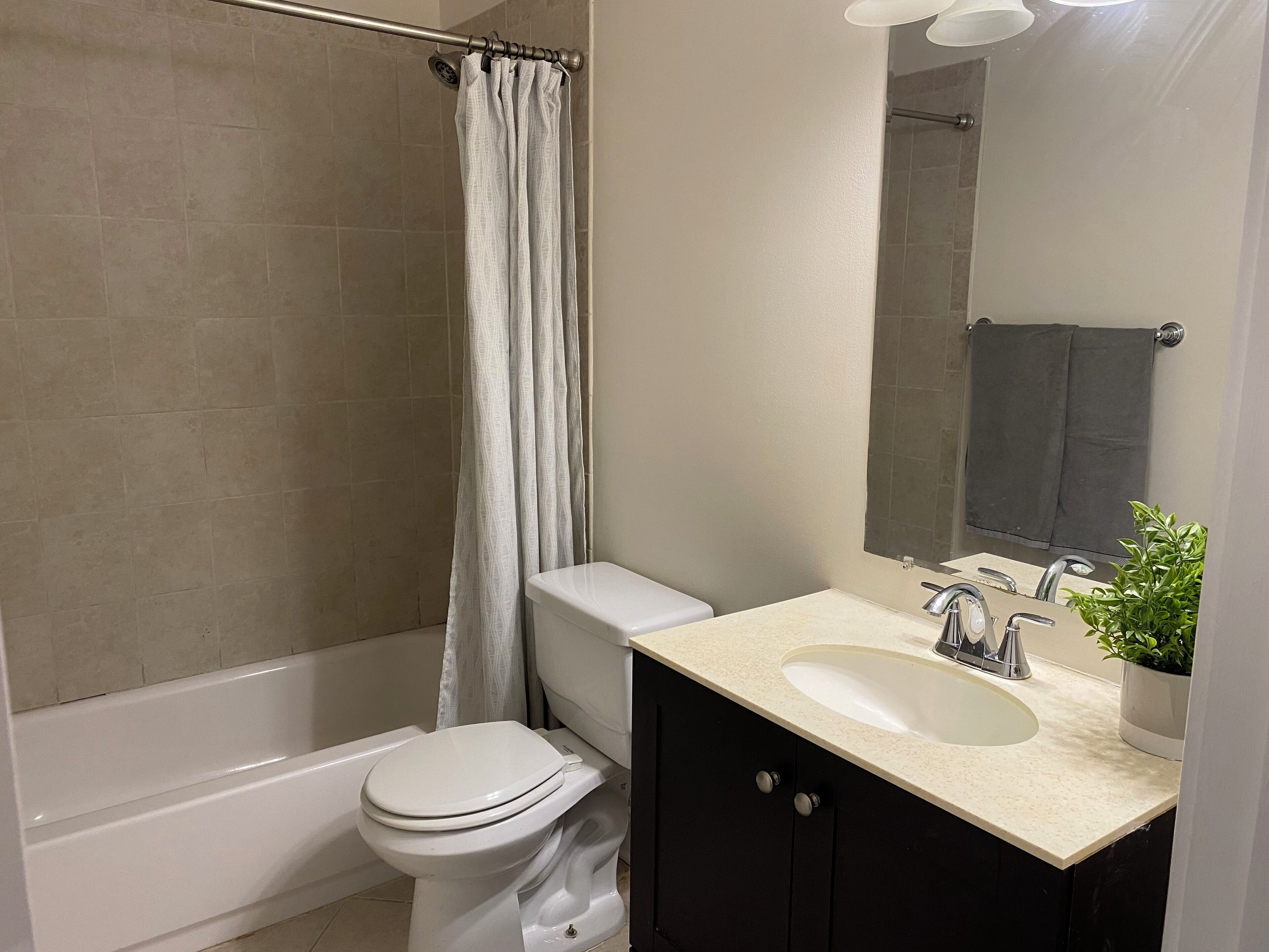 Hair dryer, towels, soap, toilet paper