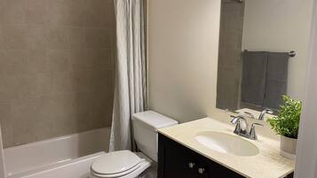 Hair dryer, towels, soap, toilet paper