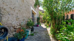 Un étroit sentier de pierre, bordé de plantes en pot, mène à un bâtiment rustique.