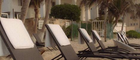 A row of sun loungers with a palm tree and a multi-story building in the background.