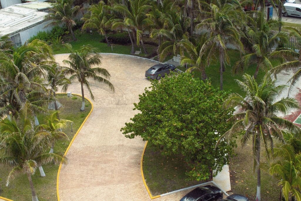 Luchtbeeld van een parkeerplaats met palmbomen en een gebogen oprit.