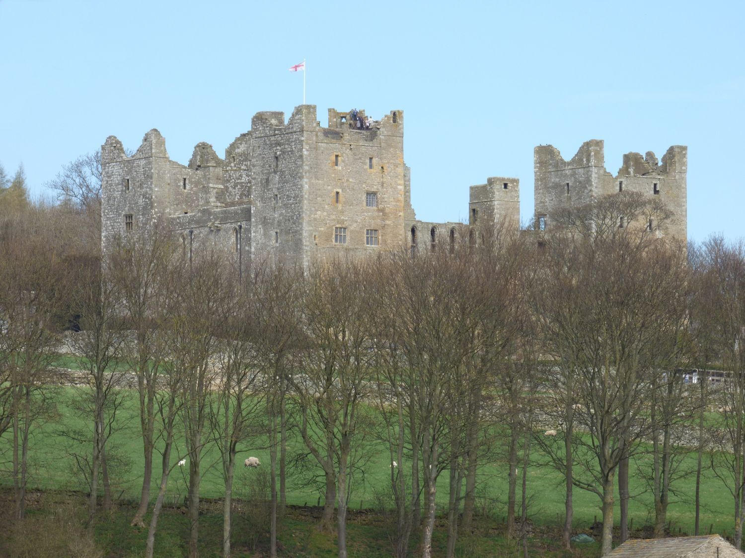 A historic castle with multiple towers and a flag, surrounded by trees and a grassy field.