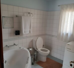 Haartrockner, Handtücher, Toilettenpapier