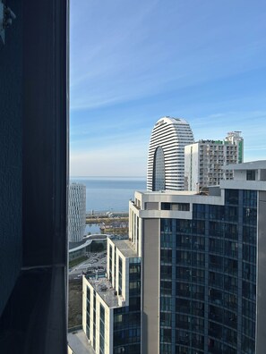 View from property - 5 minutes from the beach! Apartment with WiFi and heating (Batoumi)