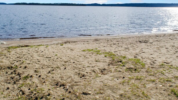 Una playa arenosa con un lago tranquilo y una orilla arbolada a lo lejos.
