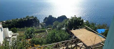 المنطقة المحيطة بالمنشأة