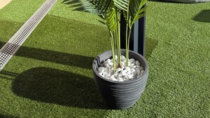 A potted plant with broad leaves in a black pot on artificial grass. - 15 minutes from Futuroscope! Lovely two-bedroom house ideal for families (Naintré)