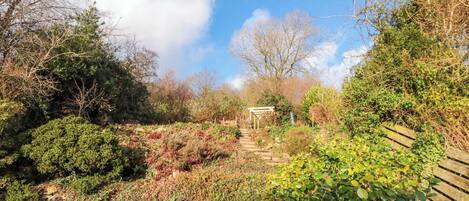 المنطقة المحيطة بالمنشأة