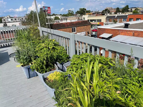 Terrain de lâhĂ©bergement