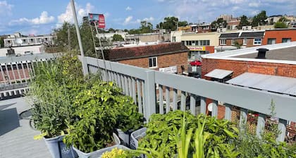 Maison Tamtam Plex (CITQ #: 309507)