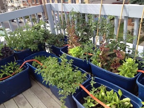 Terrain de lâhĂ©bergement