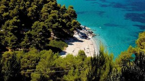 Un paysage côtier avec une plage, une eau d’un bleu limpide et une forêt verdoyante et dense.
