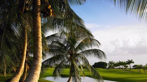 A golf course with palm trees, a pond, and a clear sky. - Royal Villa - Royal Westmoreland - Modern Tropical Villa (Saint James)