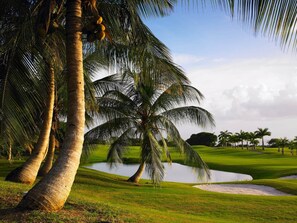 Golf - Royal Villa - Royal Westmoreland - Modern Tropical Villa (Saint James)