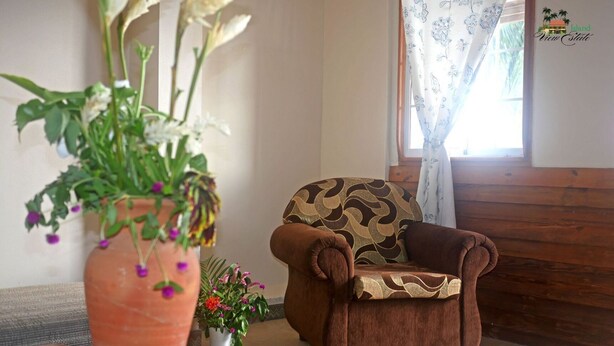 A cozy room with a brown armchair, a large potted plant, and a window with a patterned curtain.