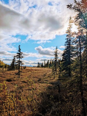Miscellaneous - Secluded modern house minutes from town with direct tundra and bike path access. (Dillingham)