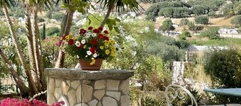 The Kefalonian Divarata House