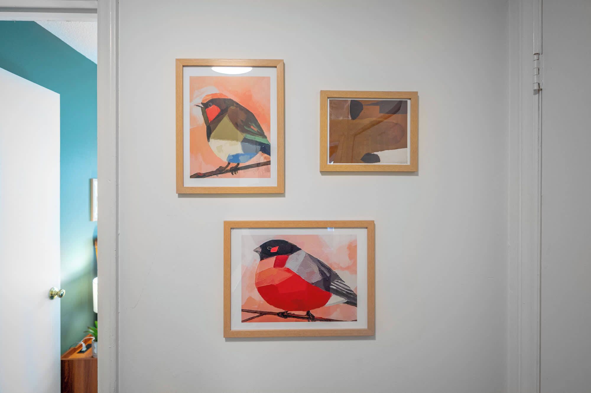 Trois tableaux représentant des oiseaux, encadrés et accrochés au mur.