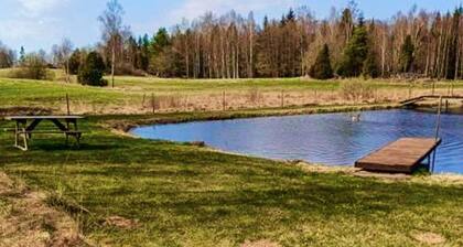 8 Person Holiday Home in Hogsby