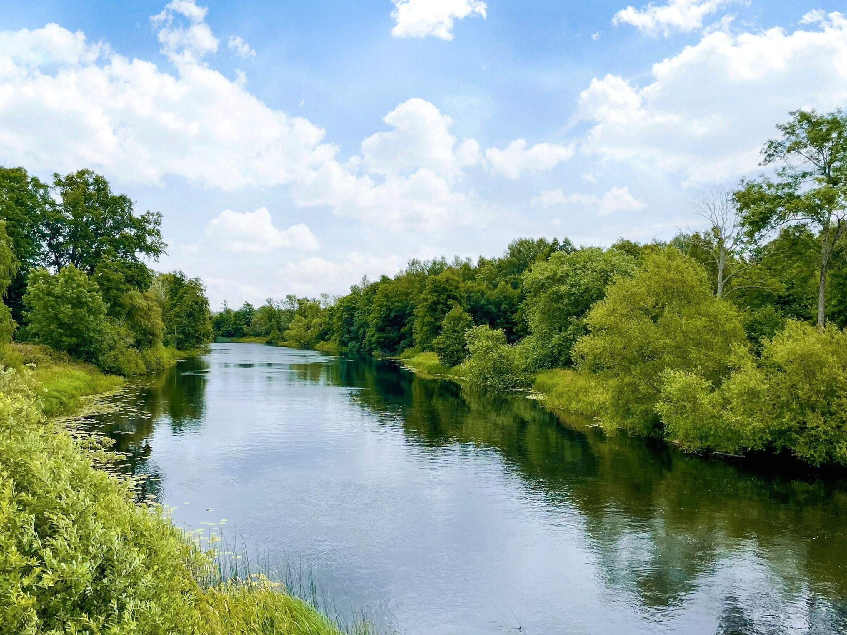 A river surrounded by dense greenery and trees.