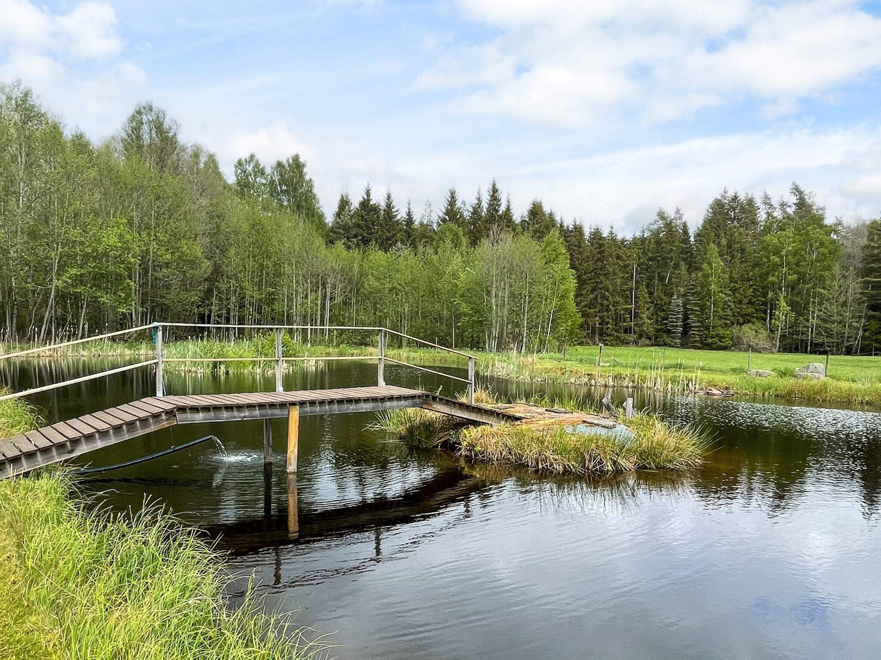 A wooden bridge over a calm pond surrounded by dense forest.