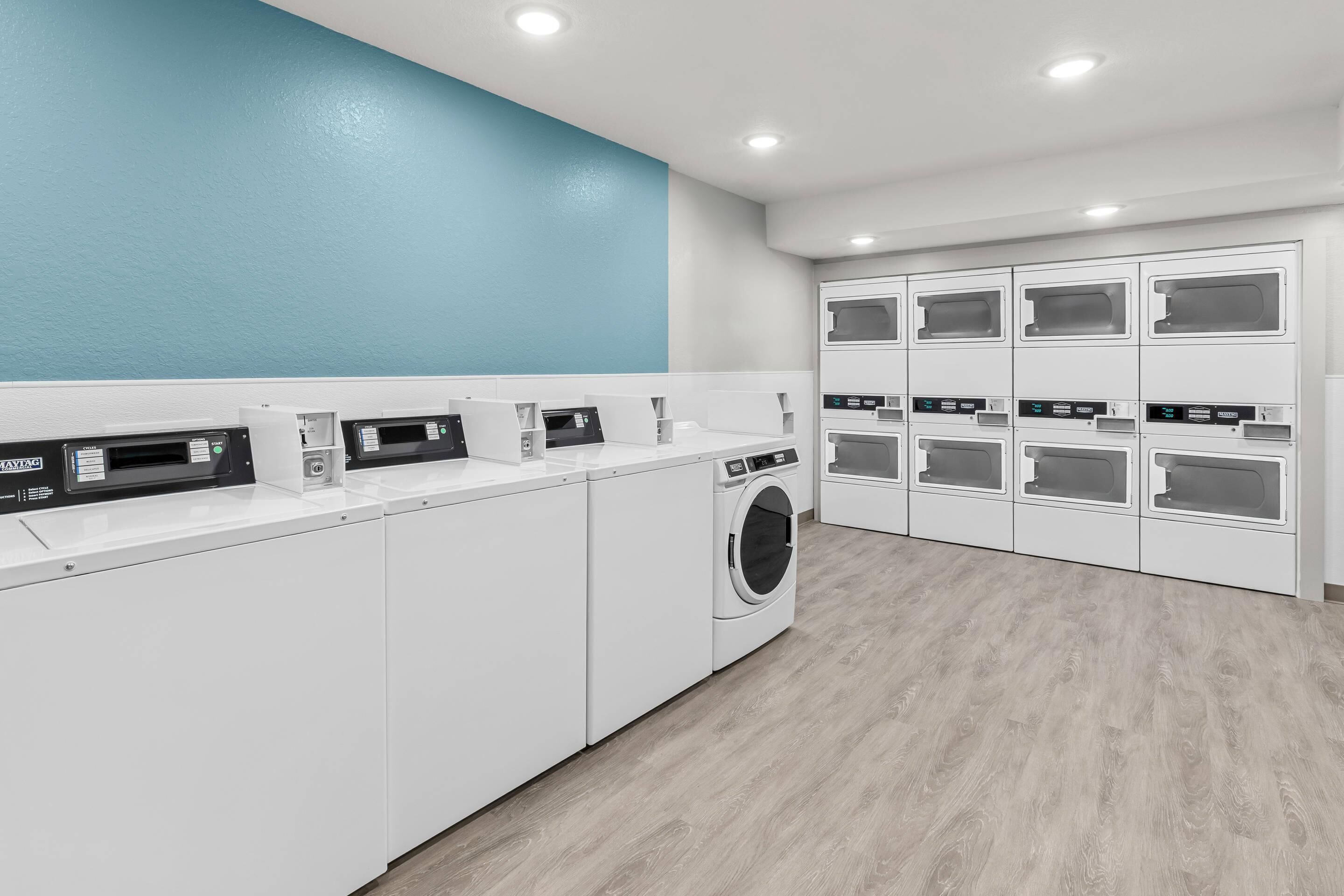 Une buanderie équipée de plusieurs machines à laver et de plusieurs sèche-linge, avec un mur bleu et un sol carrelé.