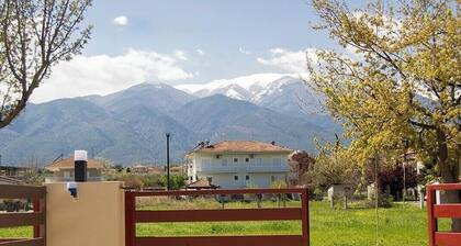 Mountain view ,3 minutes away from sea!
Θέα στο βουνό ,3 λεπτά από την θάλασσα!