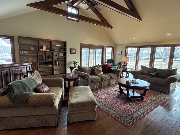 Smart TV, fireplace, books