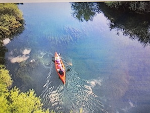 Aerial view - Soothing 1-bedroom cabin with AC in charming Crystal River (Crystal River)