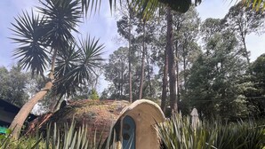 A garden pathway leading to a small, arched entrance surrounded by tropical plants. - Cozy 4-bedroom cabin in perfect harmony in Rancho ojo de luz cabañas de aventura (Rancho Avándaro Country Club)