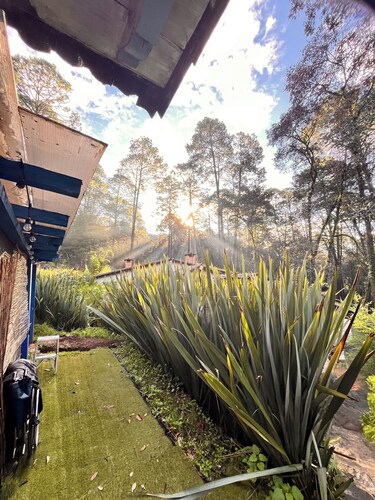 Cozy 4-bedroom cabin in perfect harmony in Rancho ojo de luz cabañas de aventura