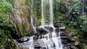 A waterfall cascading over rocks surrounded by lush greenery. - Angra Sol e Mar Suite: rest, comfort and enchanting beaches. Close to Brasfels. (Angra dos Reis)