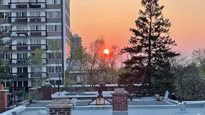 A sunset over a residential area with a tall building and a large tree in the foreground. - Maison Tamtam (CITQ #: 309507) (Montréal)