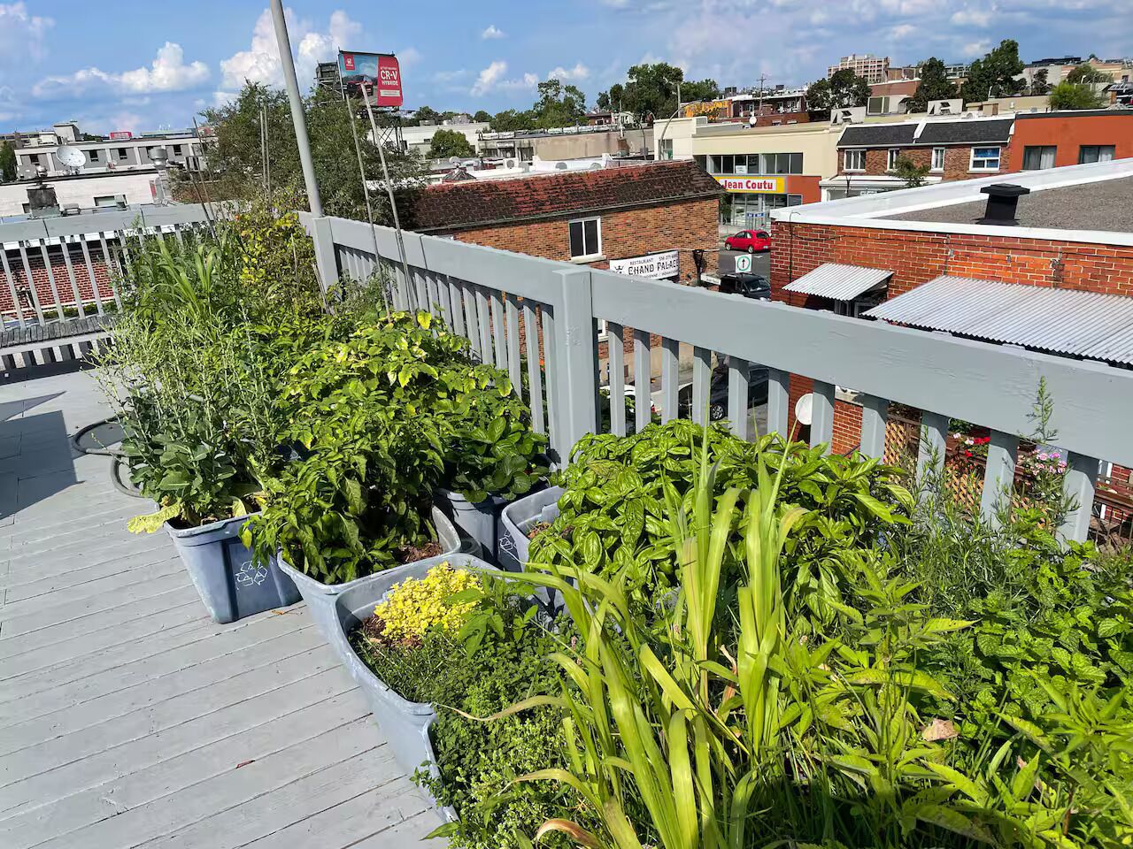 Terrain de l’hébergement 