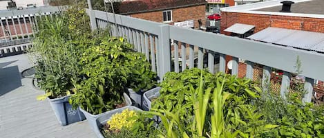 Terrain de lâhĂ©bergement