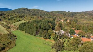 A rural landscape with rolling hills, dense forests, and scattered houses with red roofs. - Apartments & Rooms Latin - Quadruple Room (Plaski)