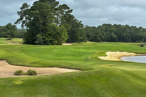 Ein Golfplatz mit einem großen Baum, Sandbunkern und einem Wasserhindernis.