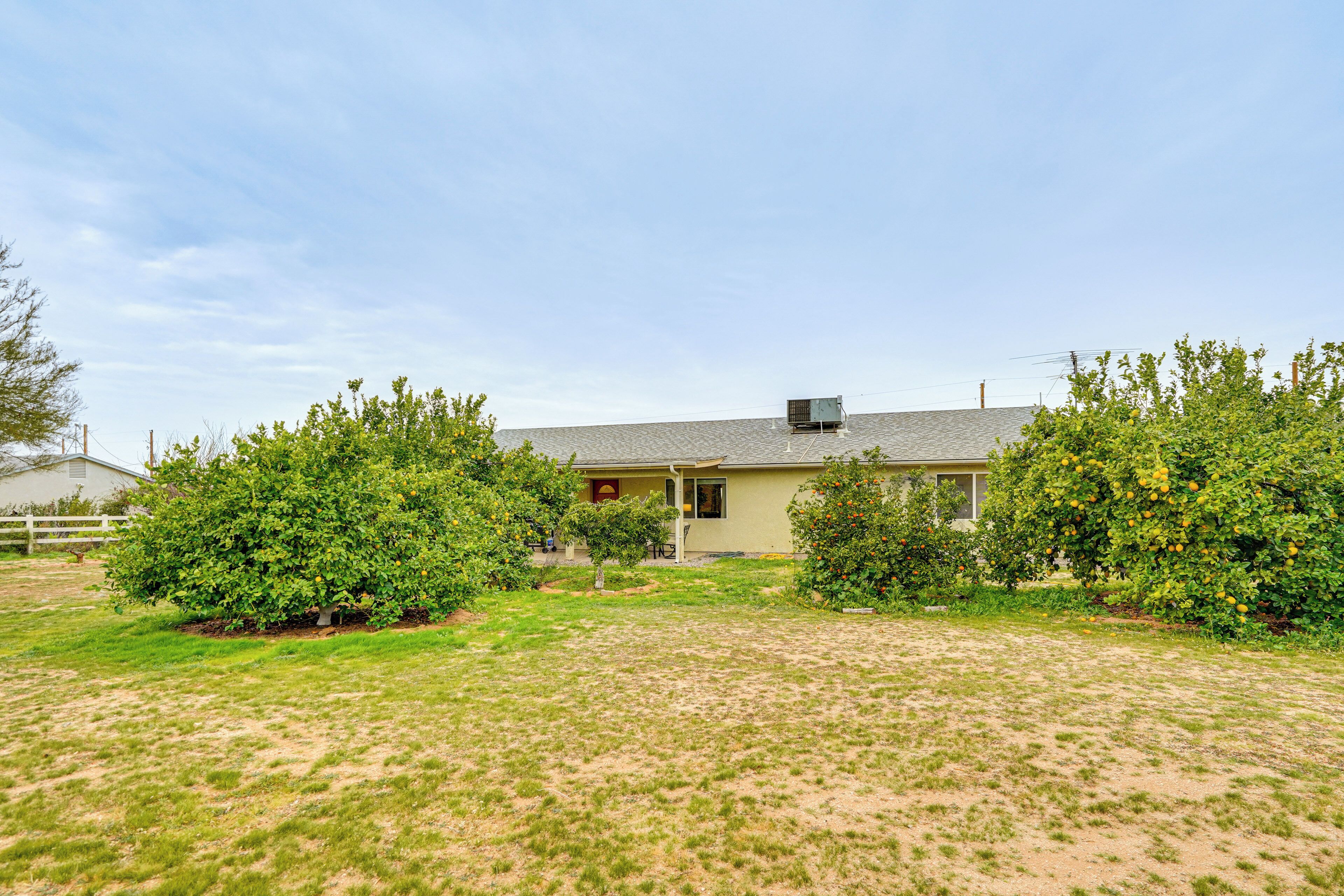 Exterior. Yard, Patio & Grill! Florence Home Near Monastery