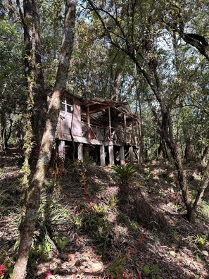 Property grounds - 6 cabins located in Solola, with more than 100 hectares of green area for hiking (San José Chacayá)