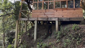 A wooden cabin with a balcony, surrounded by dense forest.