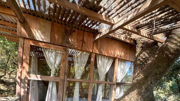 A wooden deck with a pergola, large windows with curtains, and a picnic table.