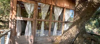 6 cabins located in Solola, with more than 100 hectares of green area for hiking