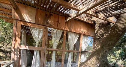 6 cabins located in Solola, with more than 100 hectares of green area for hiking