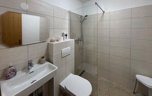 Regadera y secadora de cabello 