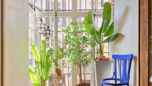 Ein sonnendurchflutetes Zimmer mit großen Fenstern, einem blauen Stuhl und verschiedenen Topfpflanzen.