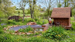 Une cabane en bois rustique, dotée d’une petite terrasse et entourée d’un jardin agrémenté d’un étang et de diverses plantes.