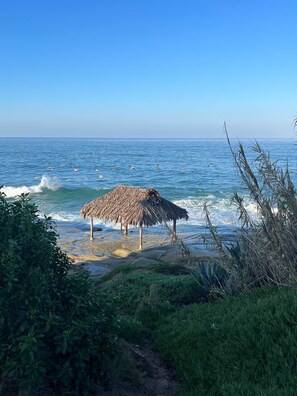 Sun-loungers, beach towels - Newly Renovated Luxe Ocean View Home - Pool Spa BBQ (San Diego)