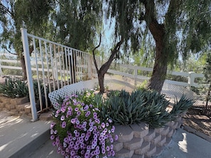 Property grounds - Private Large 1 Bedroom Guest House in Temecula Wine Country Walk to Wineries (Temecula)