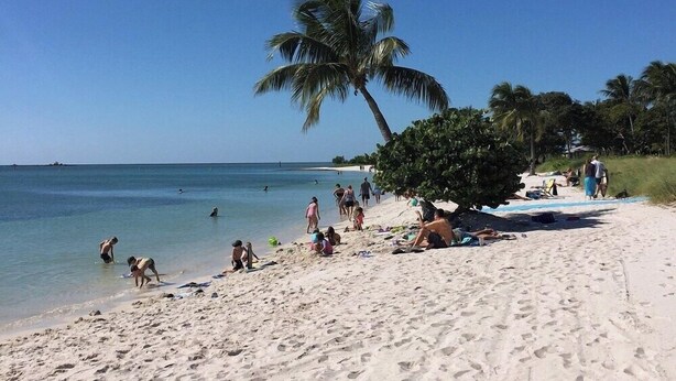 Een zandstrand met palmbomen en mensen die van het water genieten.